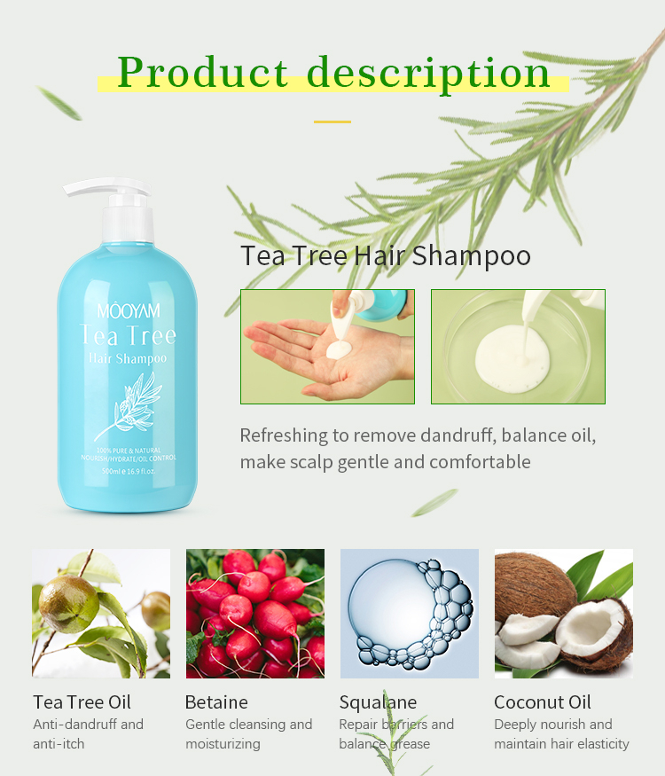 شامپو فری سولفات روغن درخت چای ضد شوره مویام 500میل MOOYAM Tea Tree Sulfate Free Shampoo